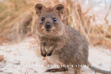 Load image into Gallery viewer, Quokka Smile pouch