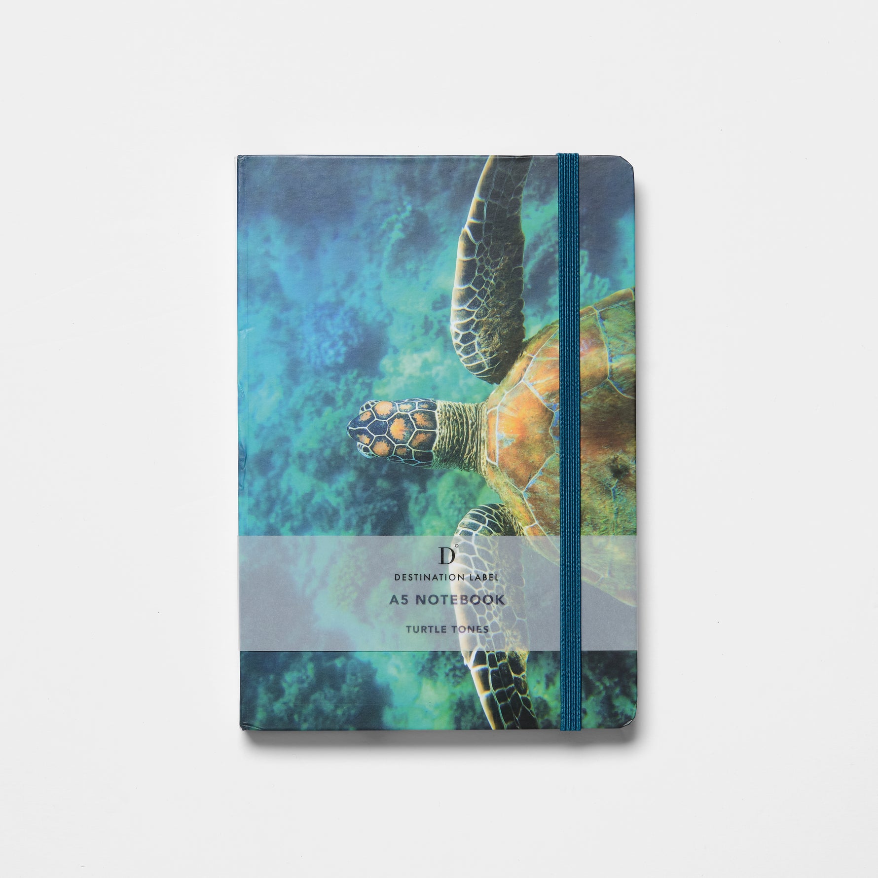 Turtle Tones notebook