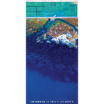 Freshy Lanes beach towel