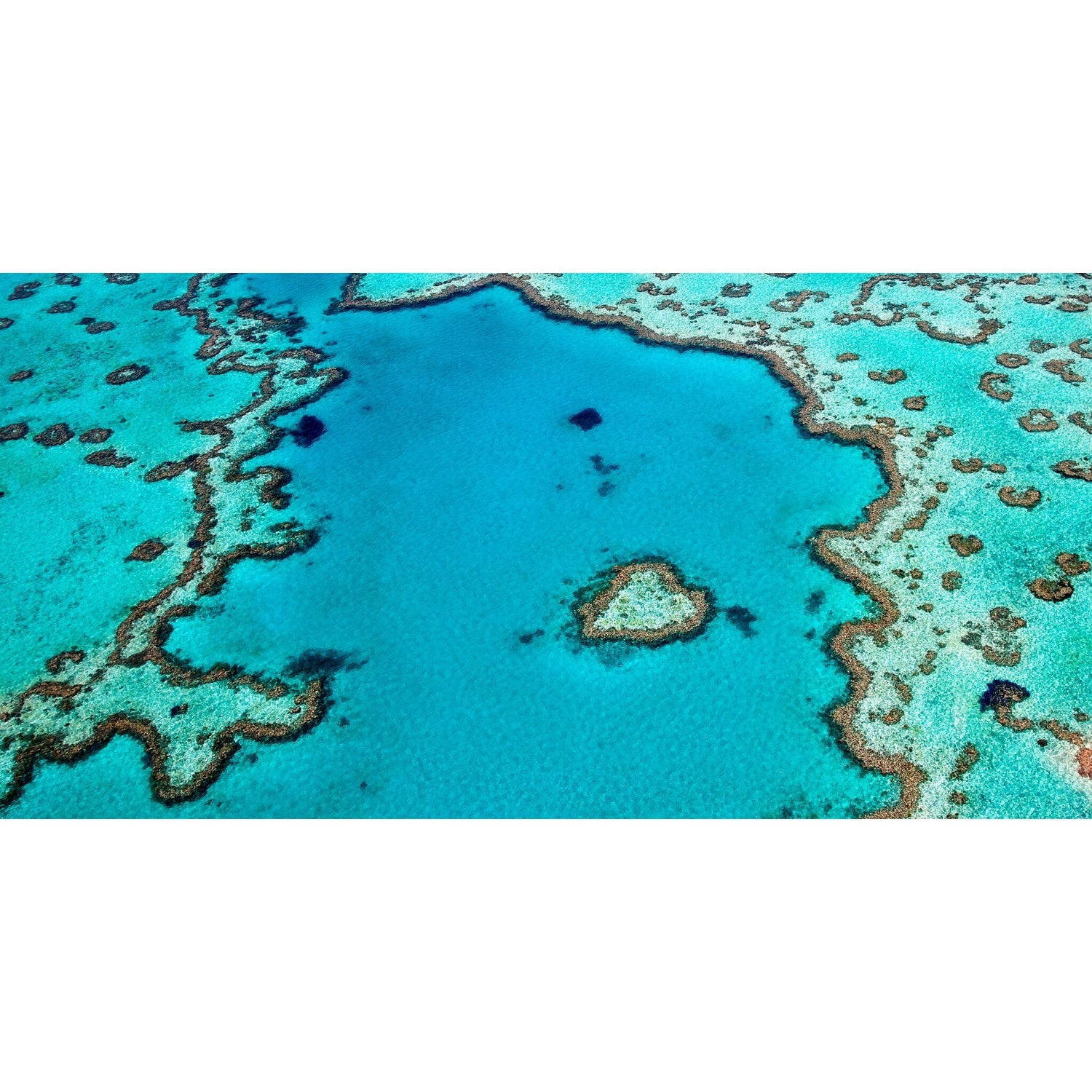 Reef Love beach towel