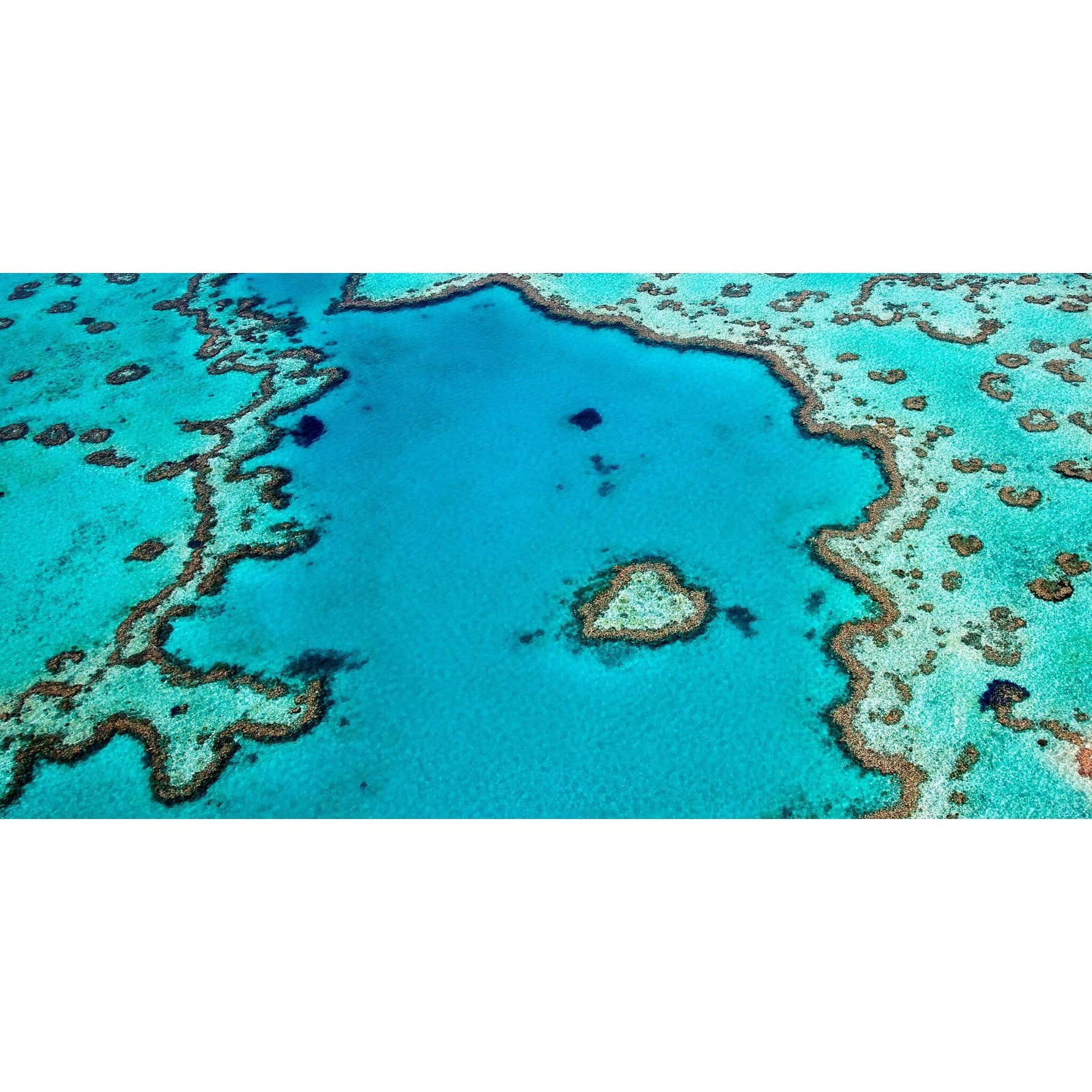 Reef Love beach towel