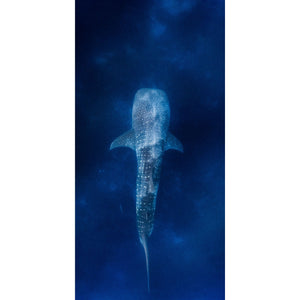 Whale Shark beach towel