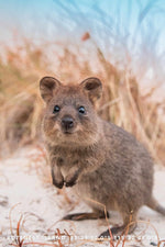 Quokka Smile tea towel