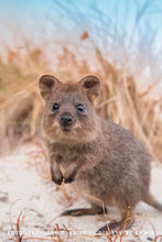 Load image into Gallery viewer, Quokka Smile tea towel