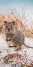 Load image into Gallery viewer, Quokka Smile beach towel