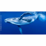 Whale Wave beach towel