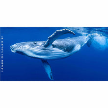 Load image into Gallery viewer, Whale Wave beach towel