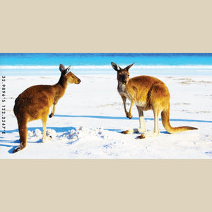 Aussie Mates beach towel